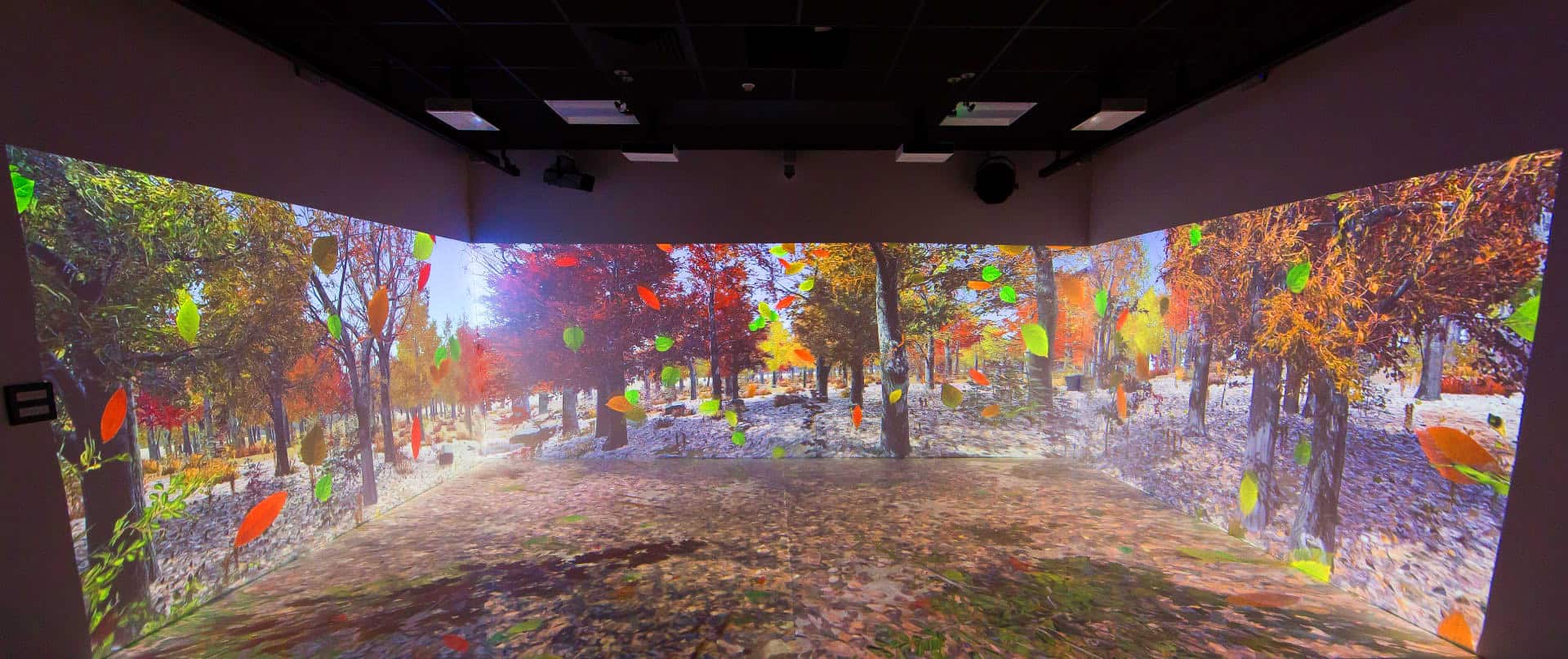 IR-Fall-Leaves-hotspot-image IR-Fall-Leaves-hotspot-image