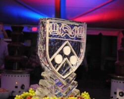 Event Technology - Lighting at UPENN Event
